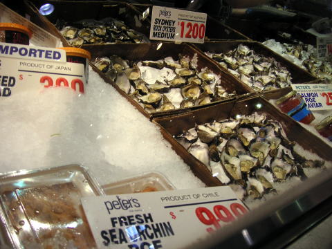 868 USA製　アニマル　魚　フィッシュ　虫　ビッグロゴ　スウェット　ベージュ